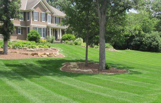 Lawn of a house with trees and garden beds; green grass and a two-story brick house with white trim.