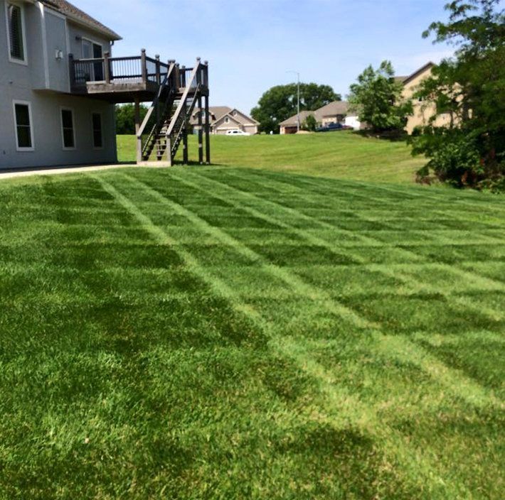 Green lawn mowed in a checkered pattern, with a two-story house and wooden stairs in the background.