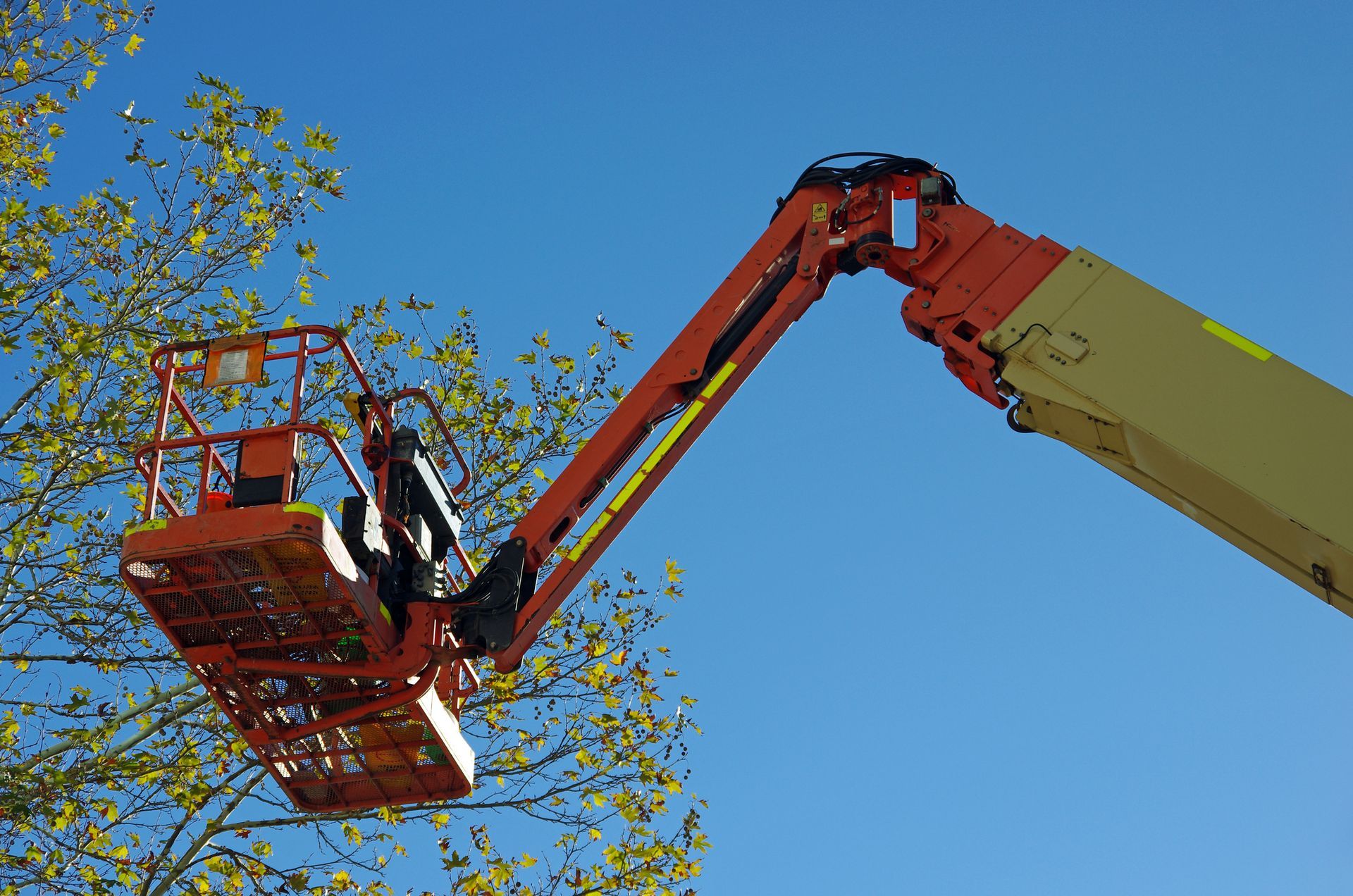 A man is sitting in a bucket on a crane over a tree.