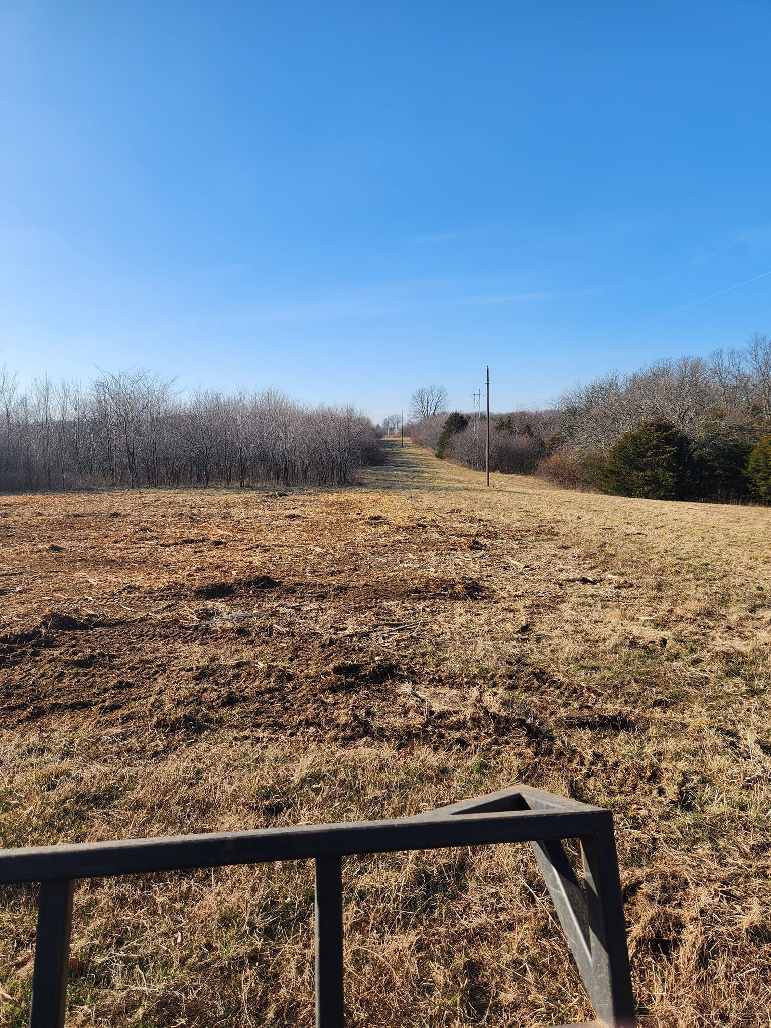 A field of brown grass and scattered leaves leads to a treeline and blue sky, with fence posts in the middle ground.