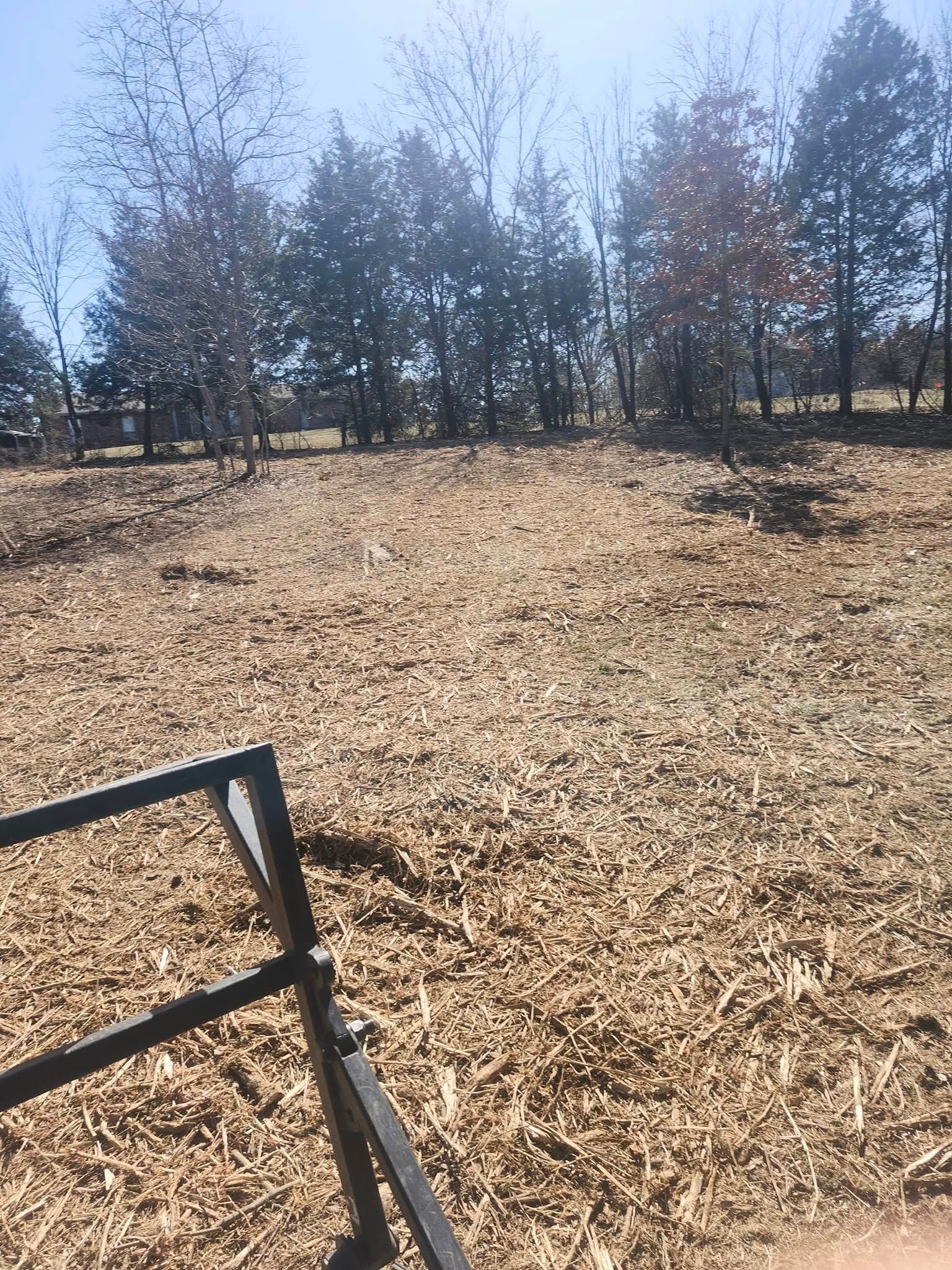 Wood chip-covered area in front of a treeline, with a black metal frame visible in the foreground, likely part of equipment.