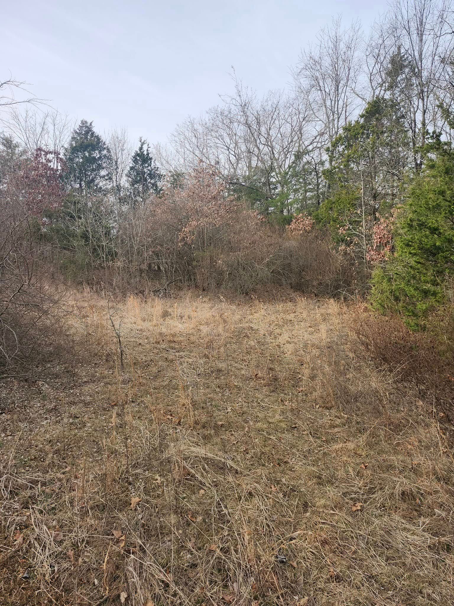 A field of brown, dry grasses with shrubs and trees at the edges; overcast sky.