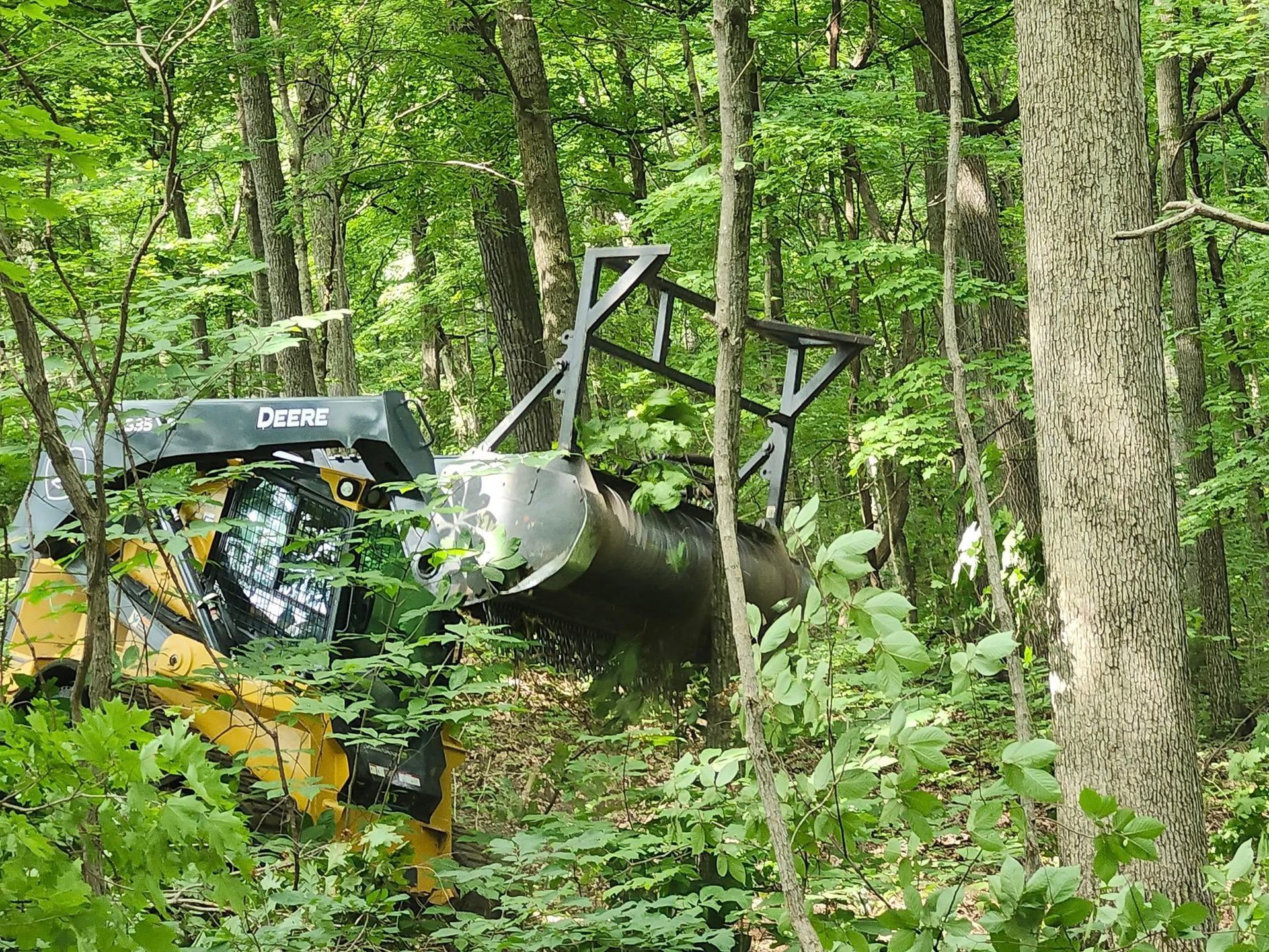 Yellow and black skid steer loader in a wooded area with an overturned bucket, surrounded by green trees and foliage.
