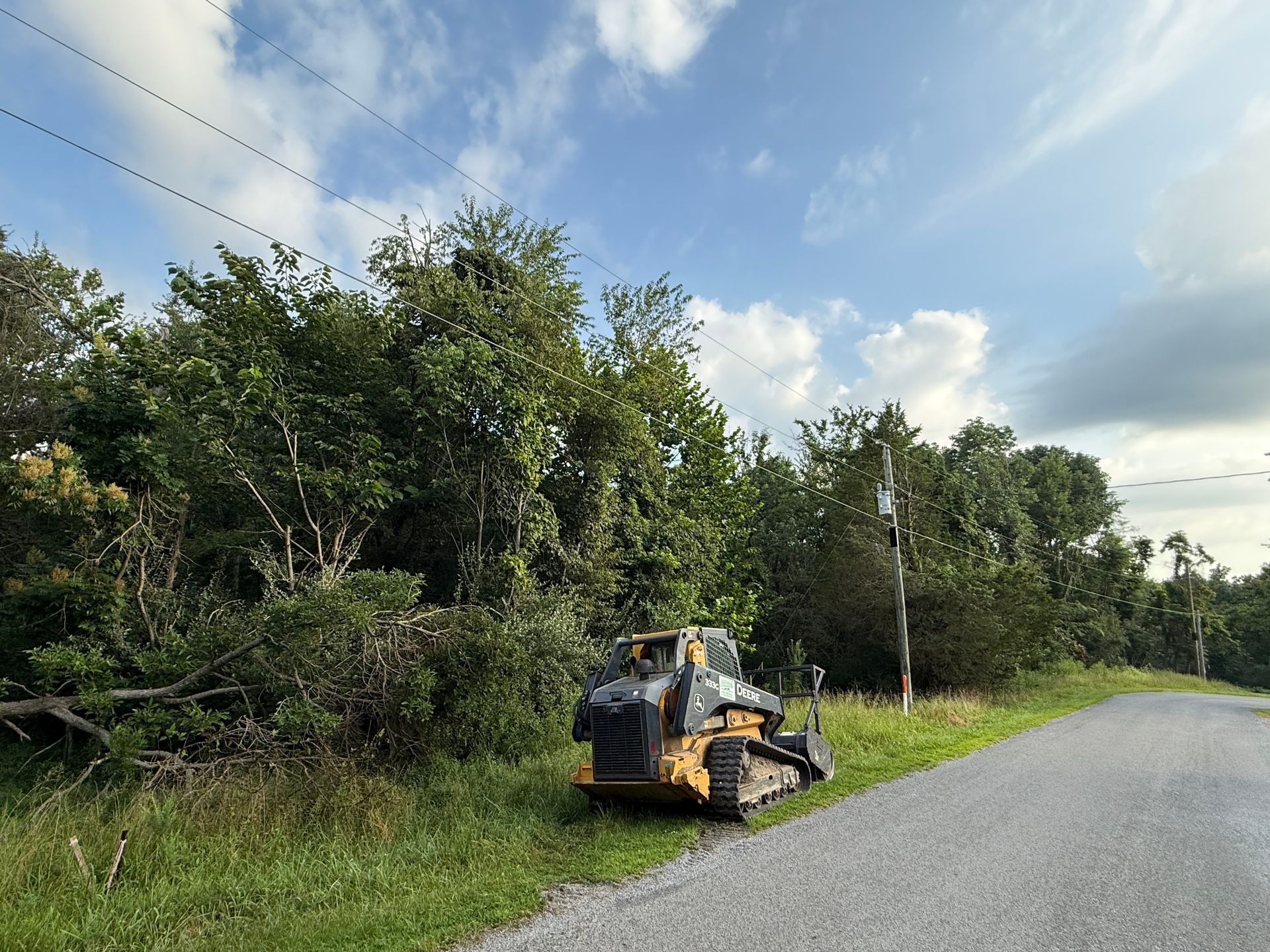 A view from a vehicle traveling through a wooded area, with a path covered in leaves. Lush green foliage surrounds the path.