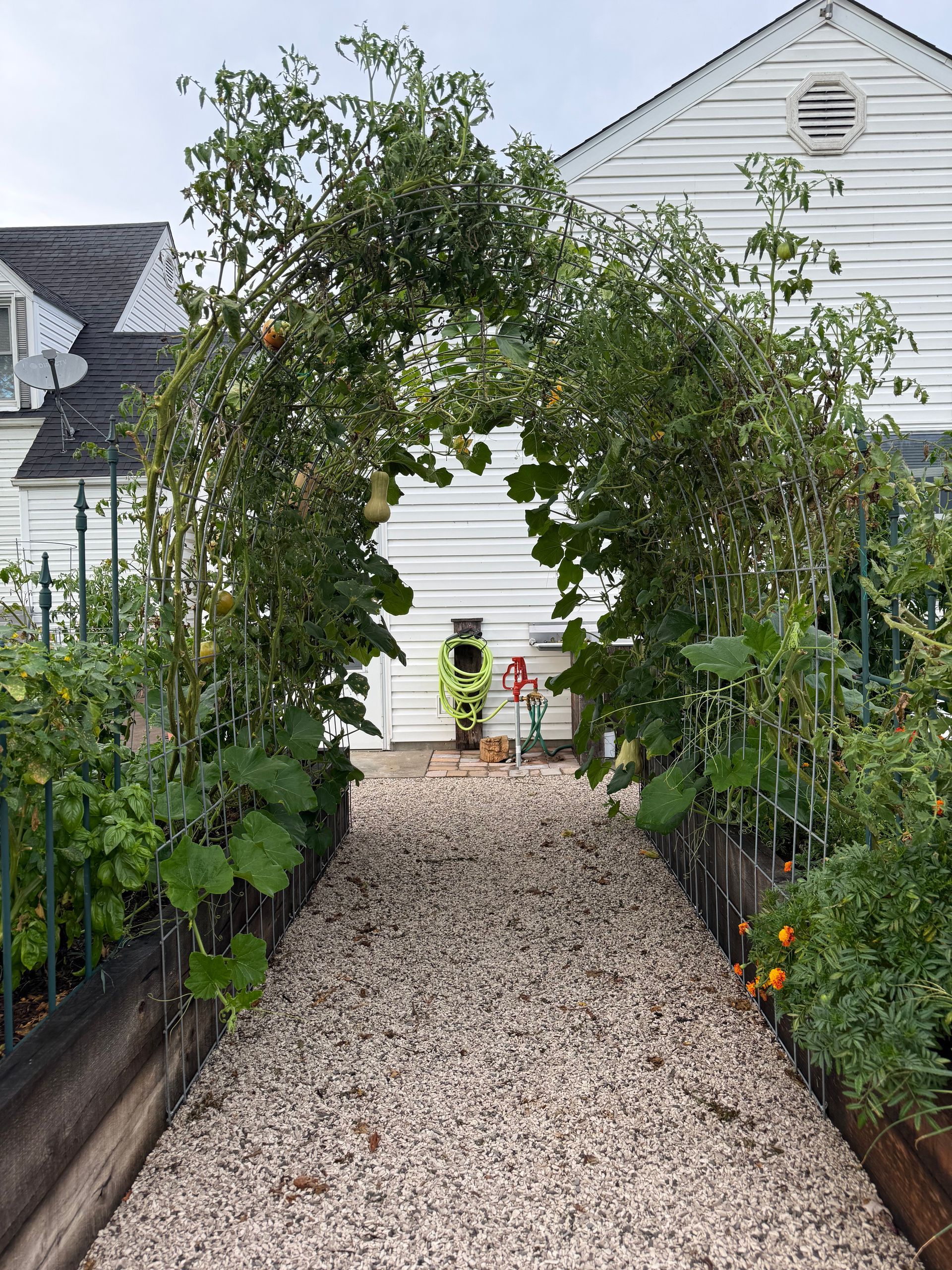 Raised garden beds in front of a white house with dormer windows. Gravel pathway surrounds the beds.