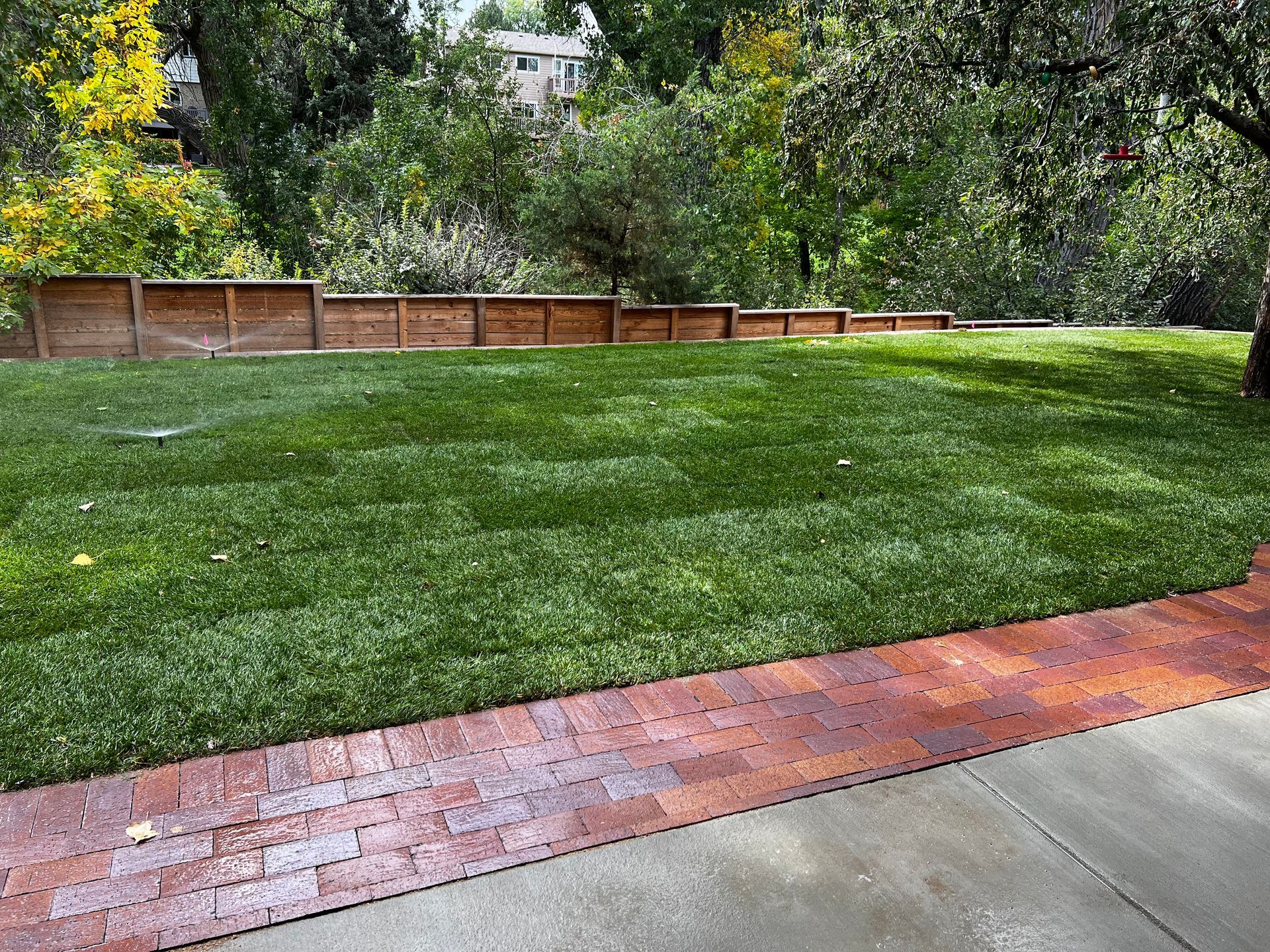 backyard renovation denver co