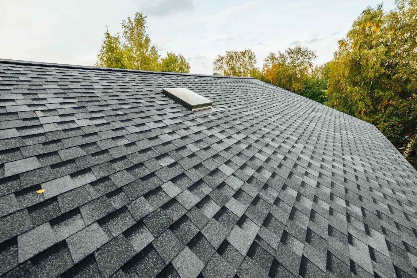 A close up of a roof with a skylight and trees in the background.