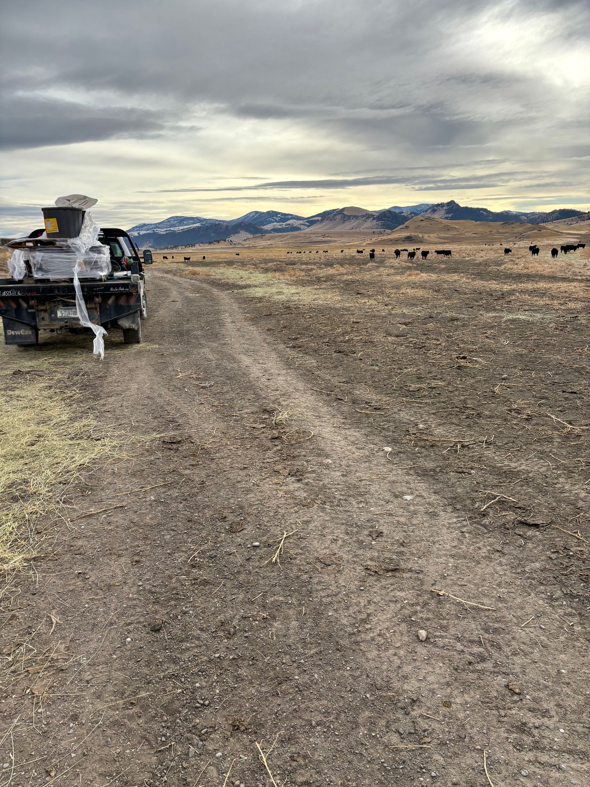 Gravel road with truck, feeding livestock in field. Mountains in background under cloudy sky.