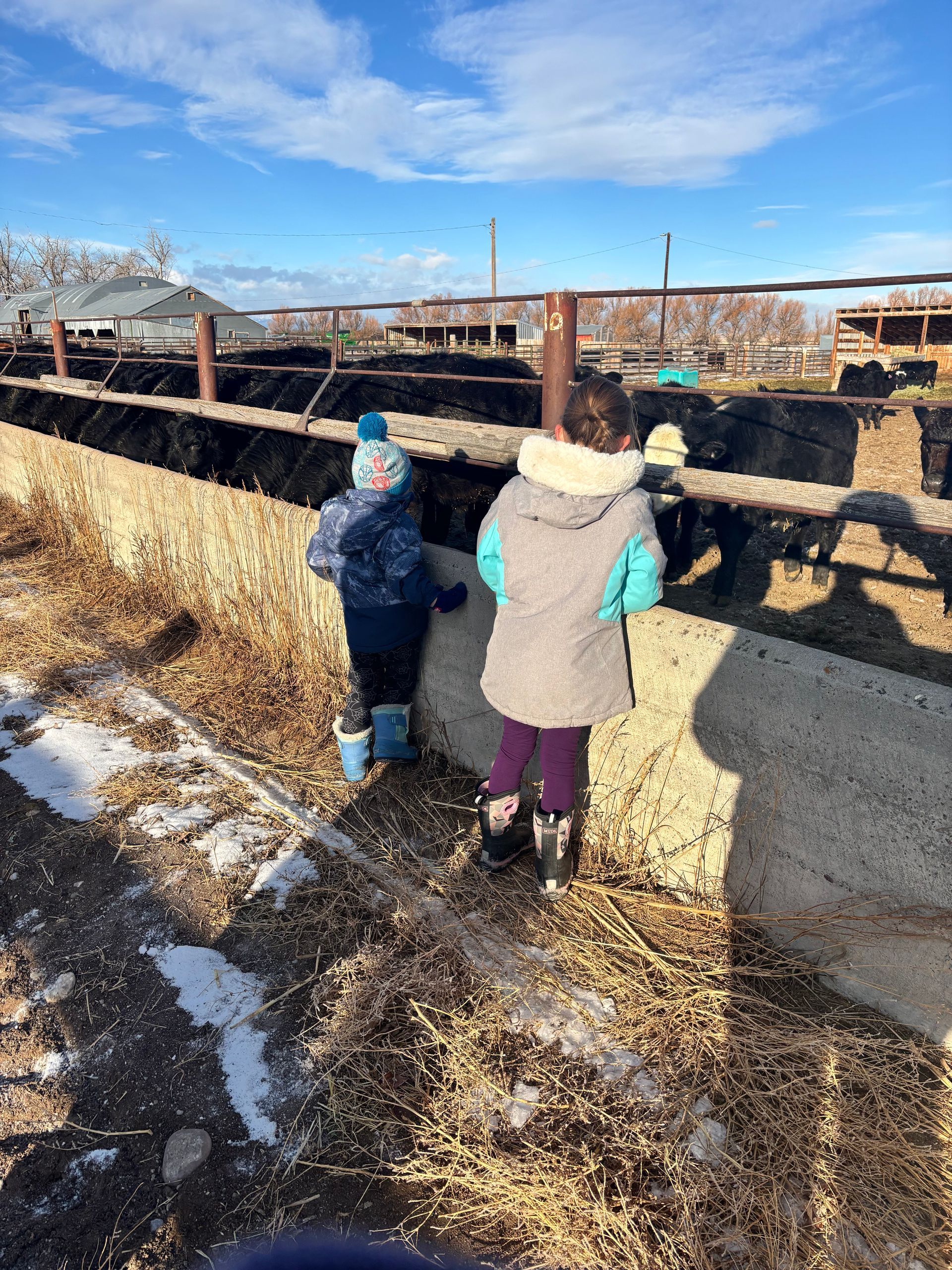 Two children bundled in winter coats walk near a long trough outdoors on a sunny day.