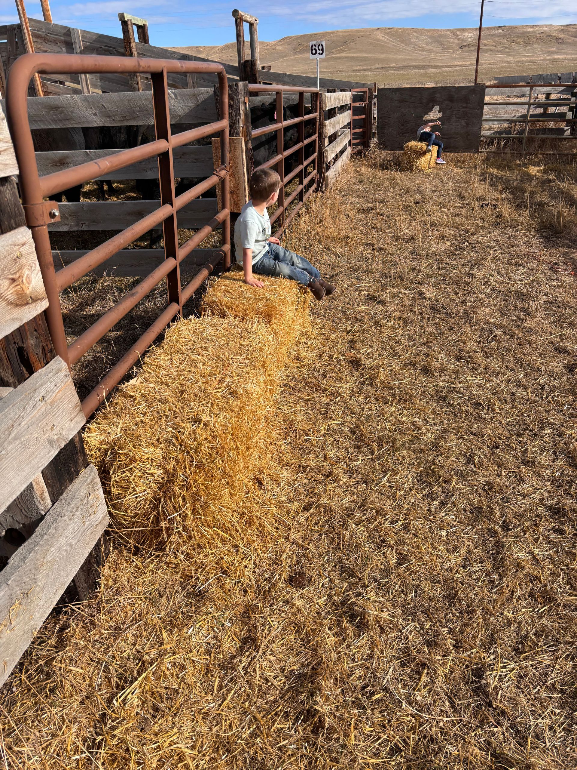 Person sitting on hay bale inside a wooden pen, with more hay spread on the ground.