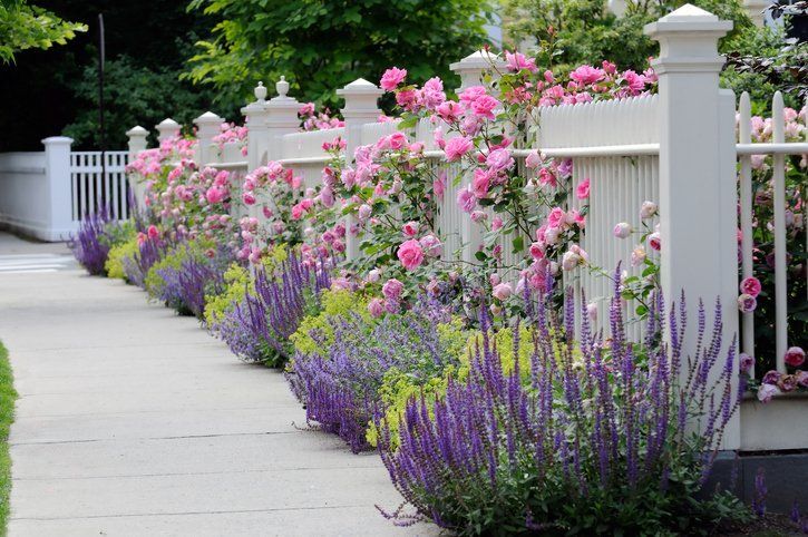 Garden Fence With Beautiful Flowers — Indianapolis, IN — Duke Fence Co., Inc.