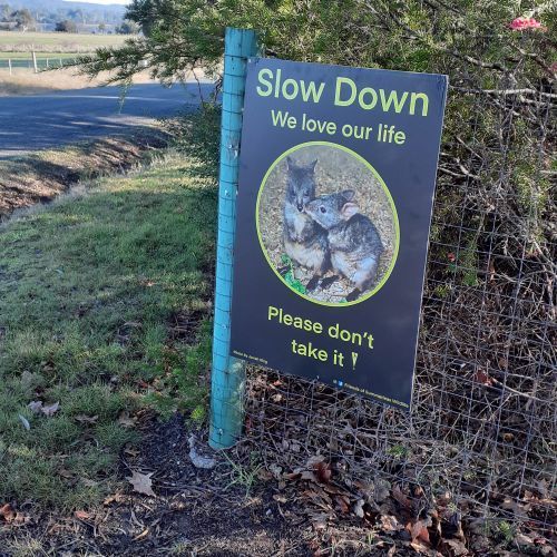 Slow down for wildlife