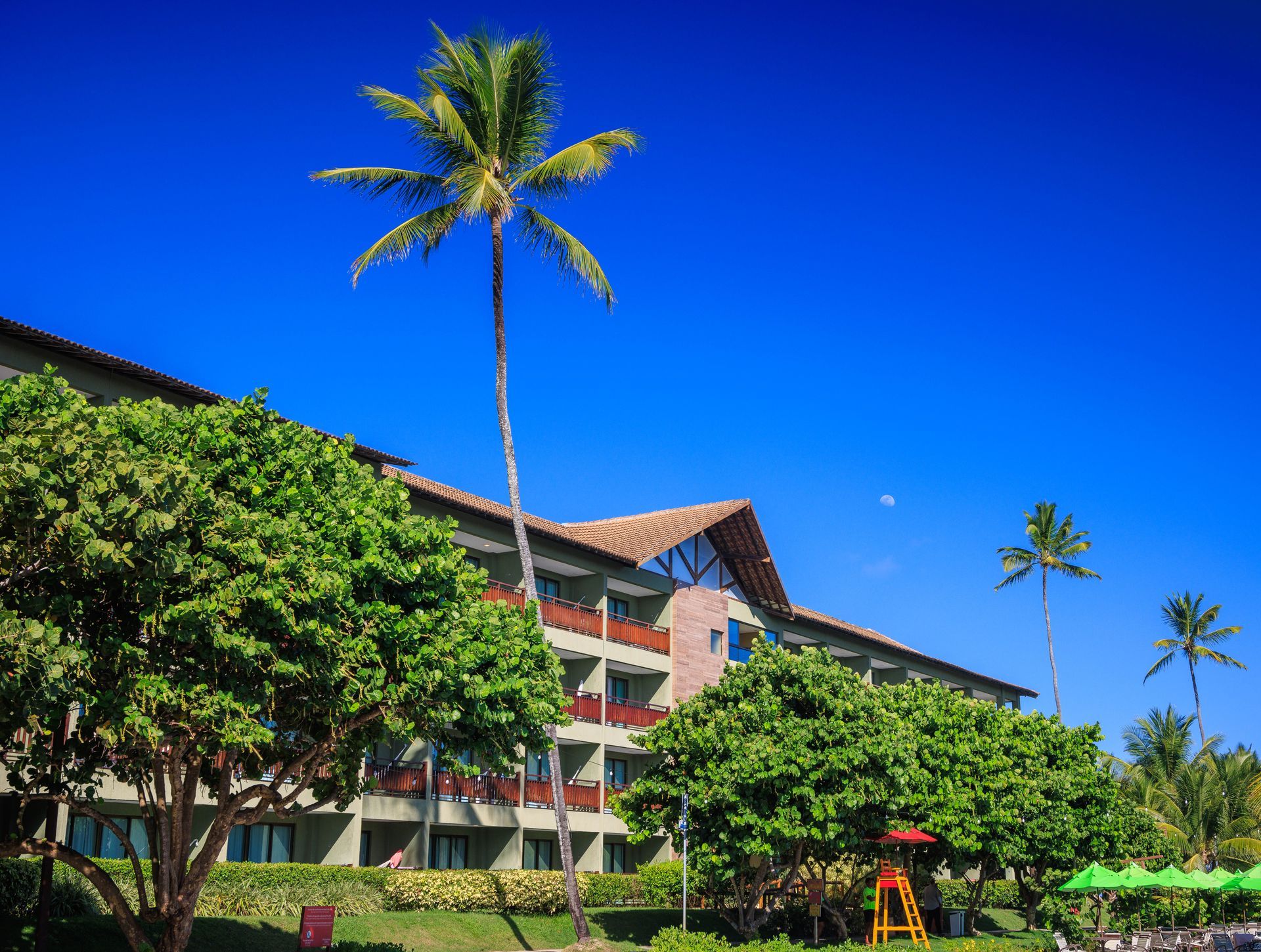 Um grande edifício com uma palmeira na frente