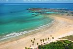 Uma vista aérea de uma praia com palmeiras e águas azul-turquesa