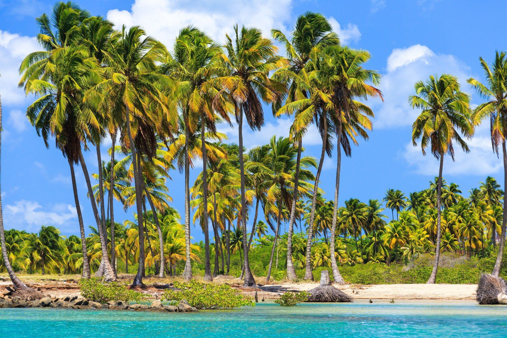 Porto de Galinhas