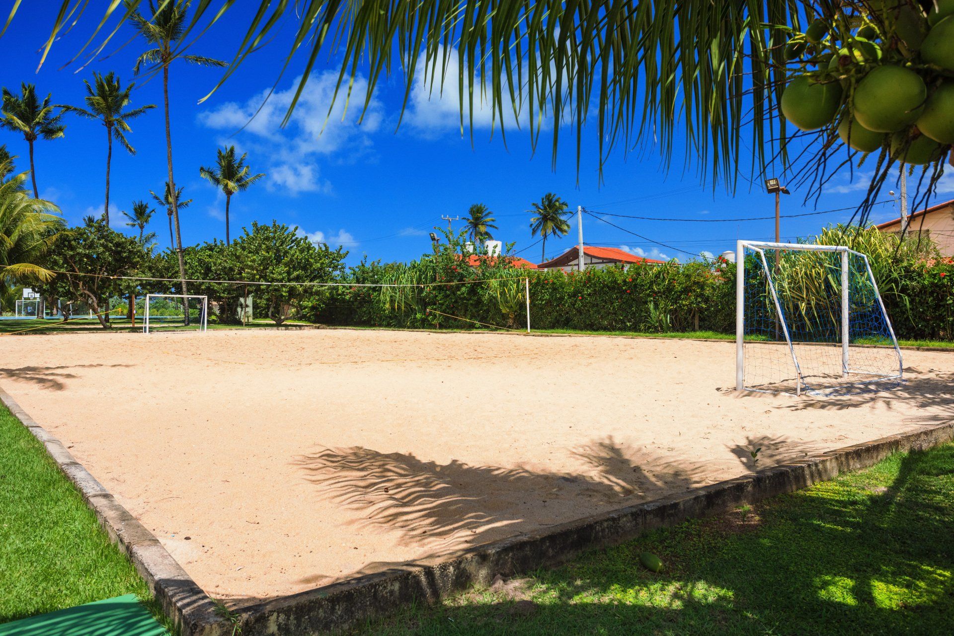 Há uma quadra de vôlei no meio de um parque com palmeiras ao fundo.