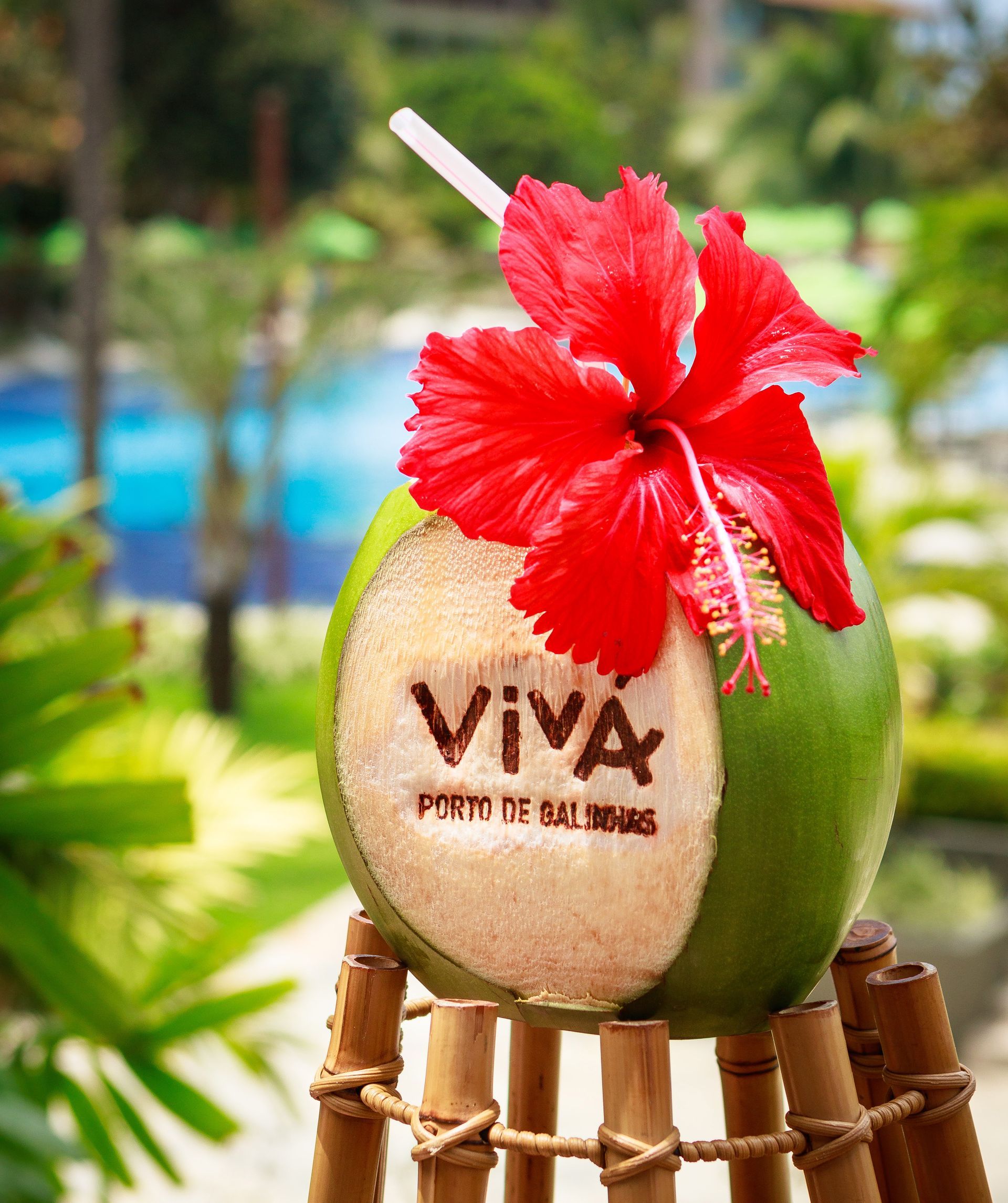 Black Friday 2024 Vivá