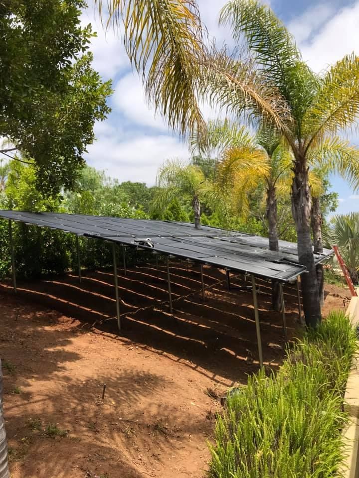 Solar panels surrounded by palm trees — San Diego, CA — Mark Naylor Solar Specialists
