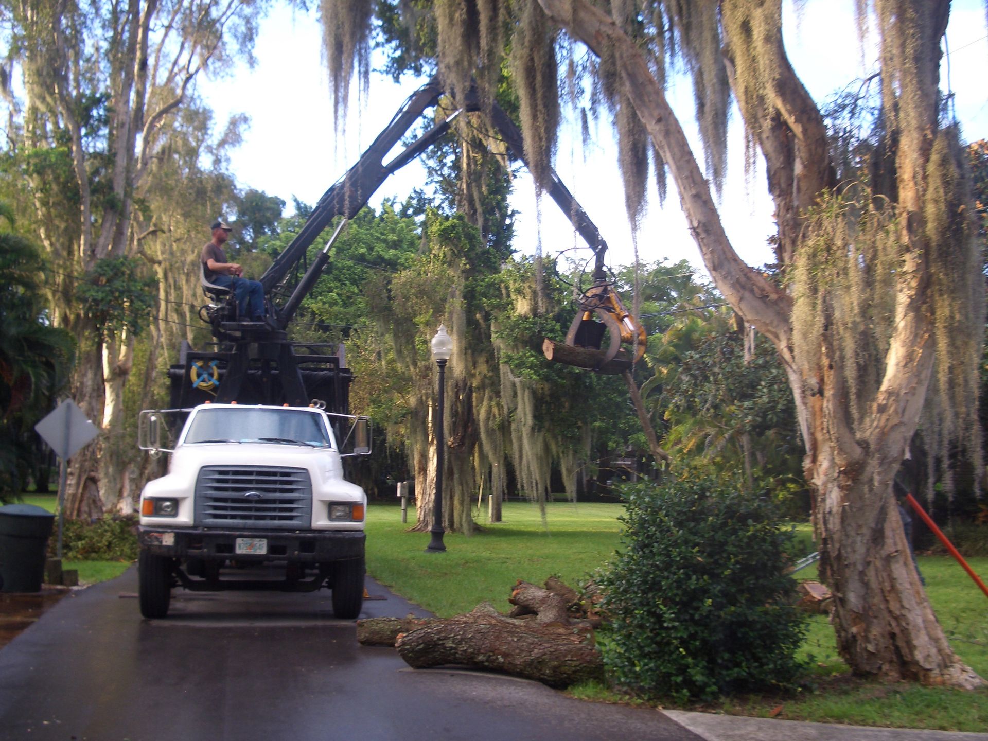 England's tree service in North Fort Myers, FL