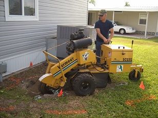 Professional of England's tree service in North Fort Myers, FL