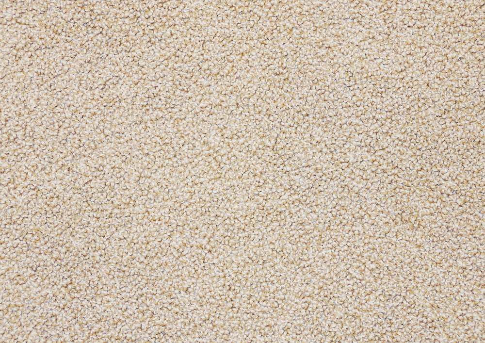 Close-Up of Light Beige Carpet Texture — Gava Floor Centre in Ballina, NSW