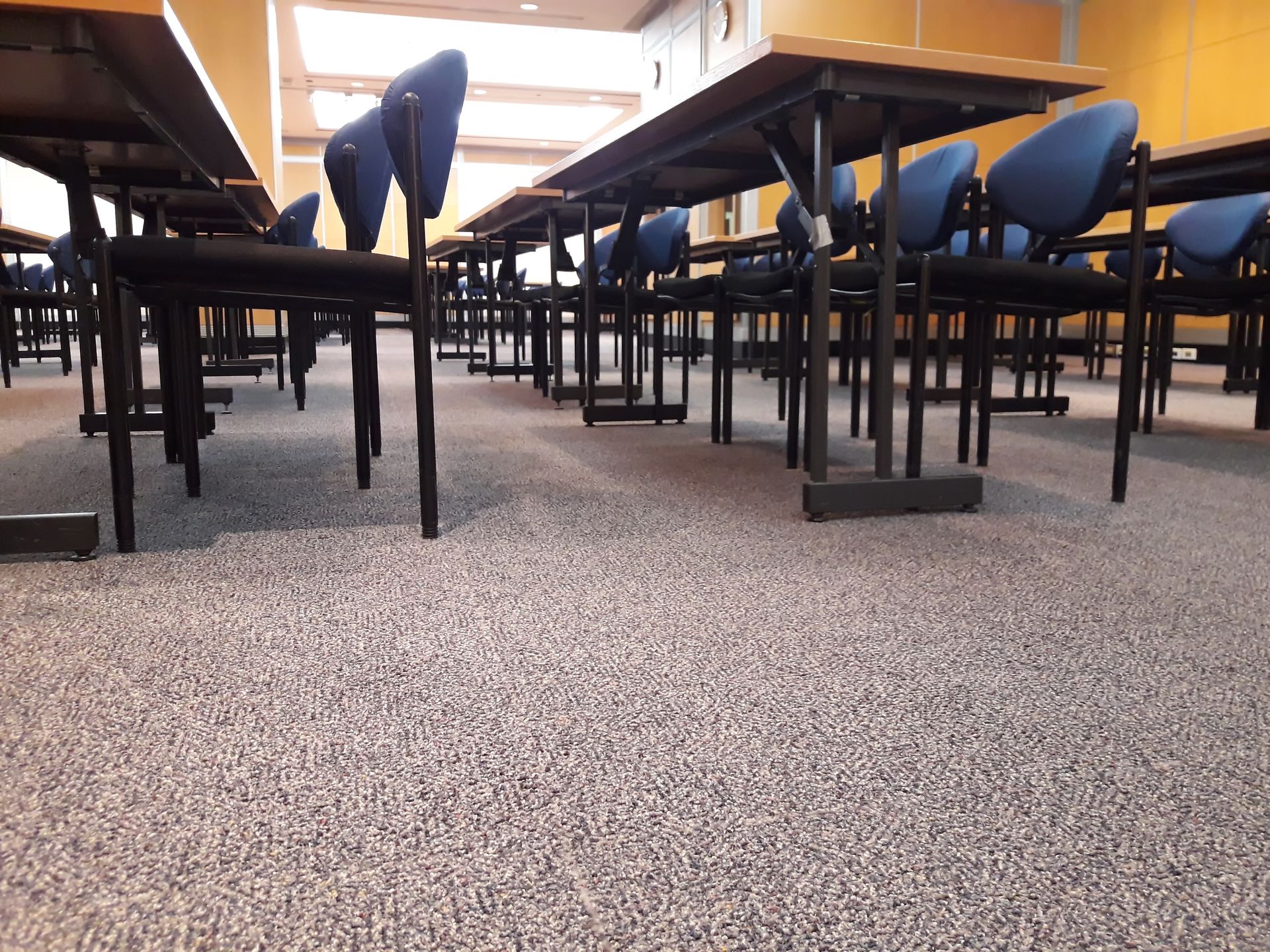 Classroom with rows of desks and blue chairs on a textured, speckled floor.
