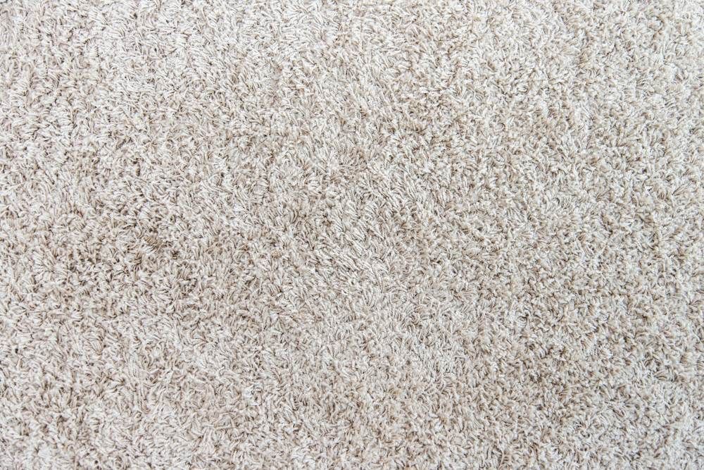 Close-Up of Light Beige Shaggy Carpet Texture — Gava Floor Centre in Ballina, NSW