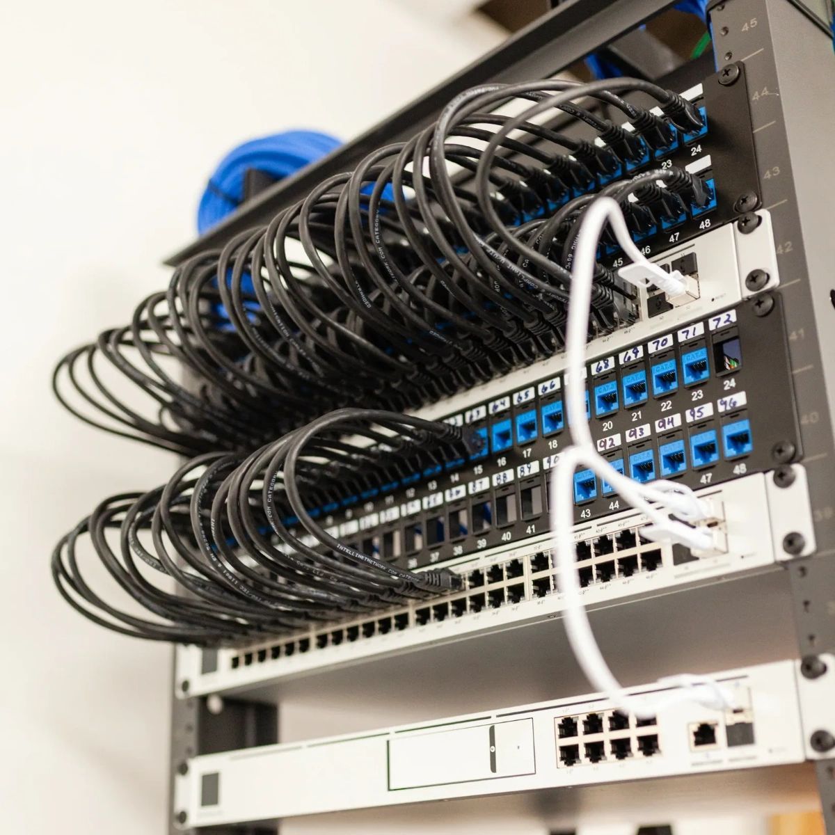 Network server rack with multiple black Ethernet cables connected to blue and white ports.
