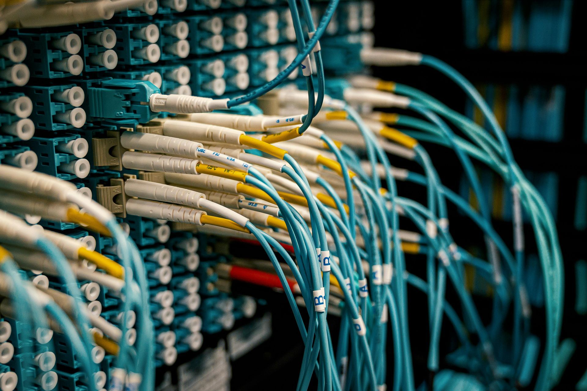 Close-up of a server rack with multiple blue and yellow fiber optic cables plugged into a network switch.