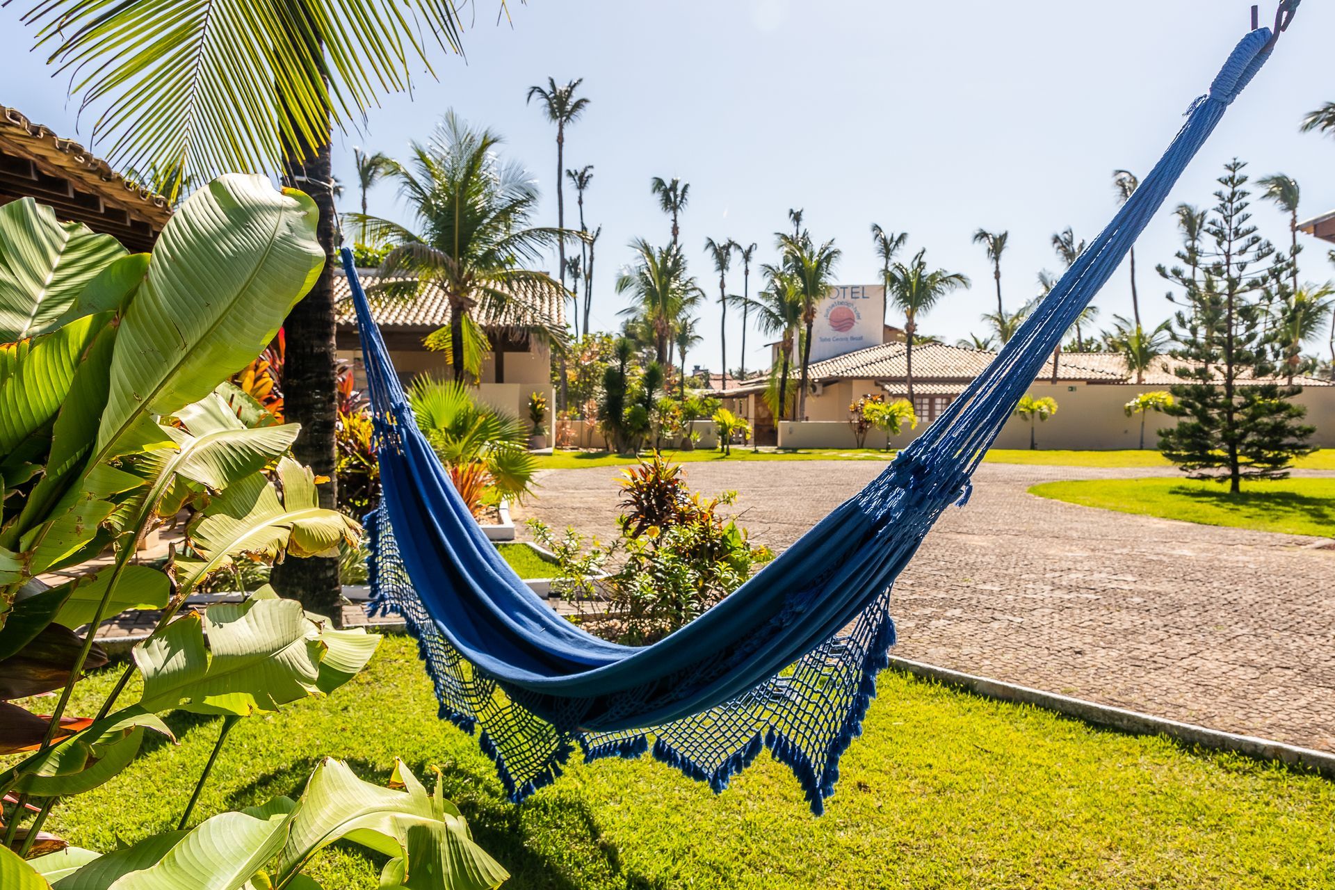 Blue hammock hanging in a sunny, tropical garden.