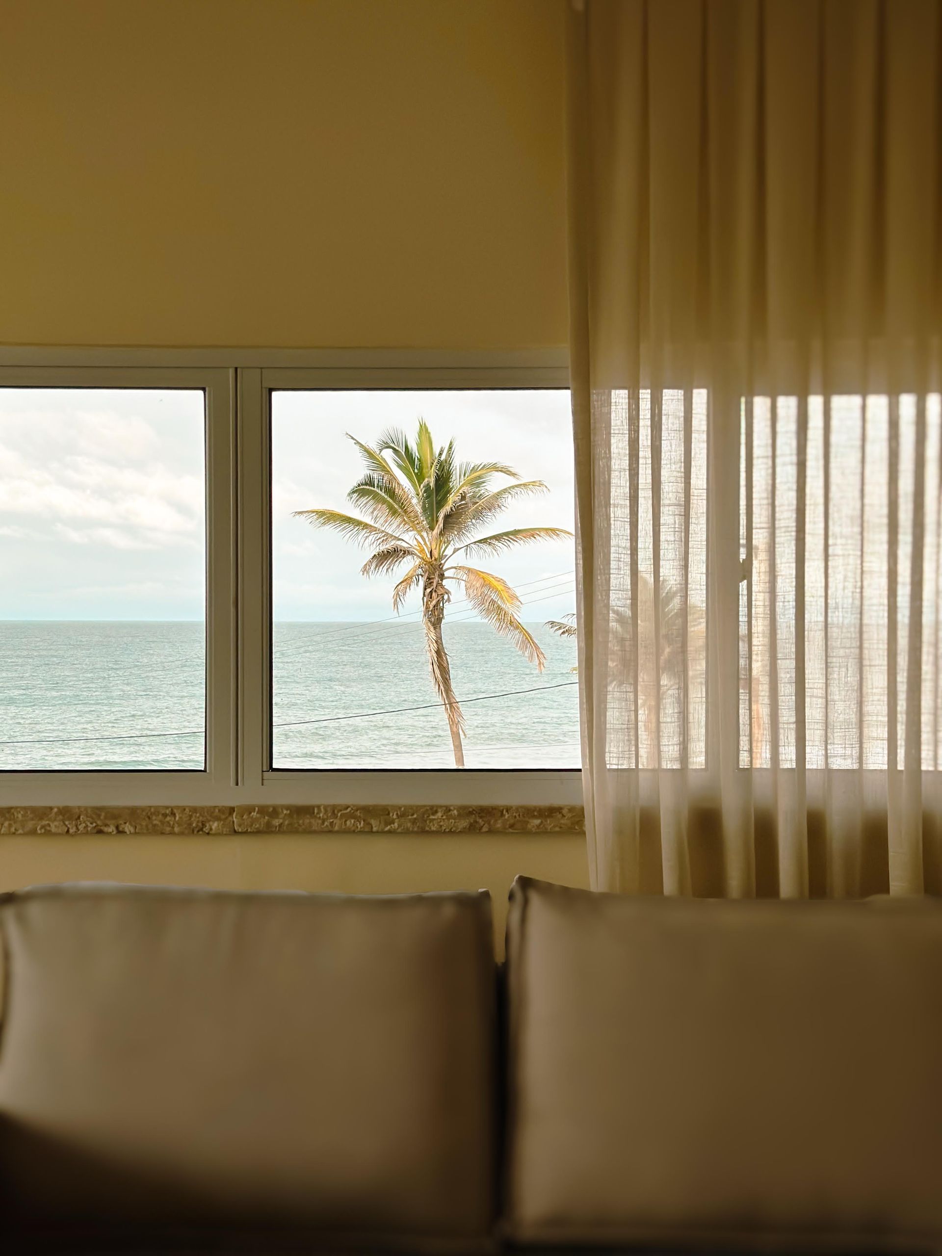 Window view of a palm tree, ocean, and cloudy sky. Beige sofa in foreground, sheer curtain to the right.