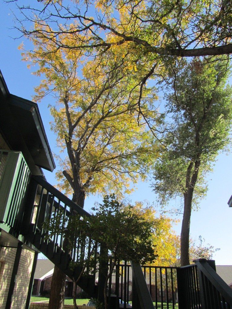 Greenbriar | Amarillo, Texas