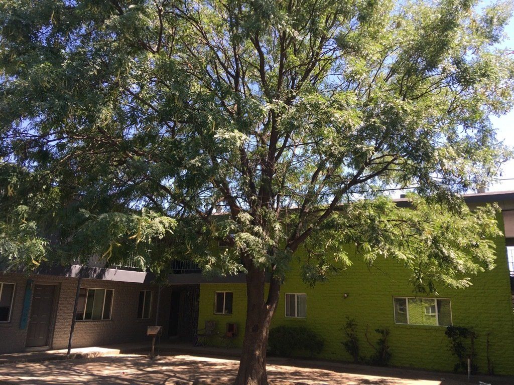 Greenbriar | Amarillo, Texas