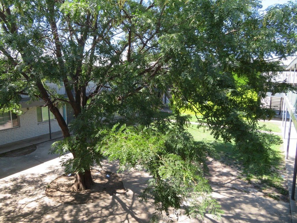 Greenbriar | Amarillo, Texas
