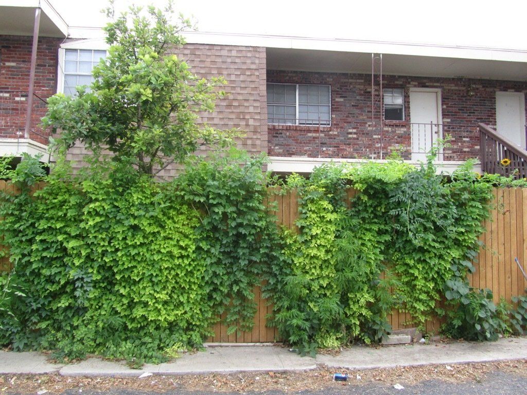 Greenbriar | Amarillo, Texas