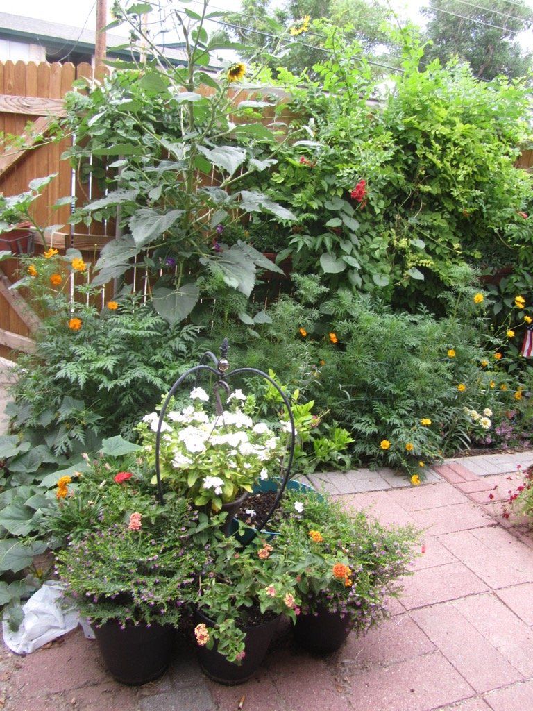 Greenbriar | Amarillo, Texas