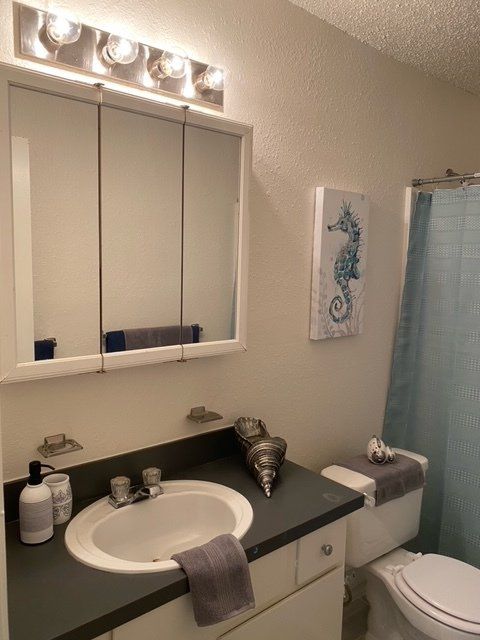 A bathroom with a sink toilet and a picture of a seahorse on the wall