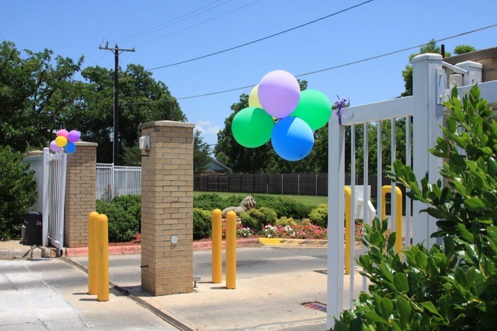 Lions Court | Amarillo, Texas
