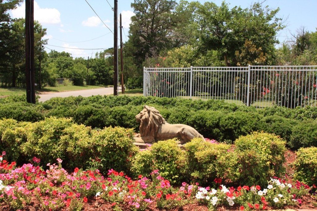Lions Court | Amarillo, Texas