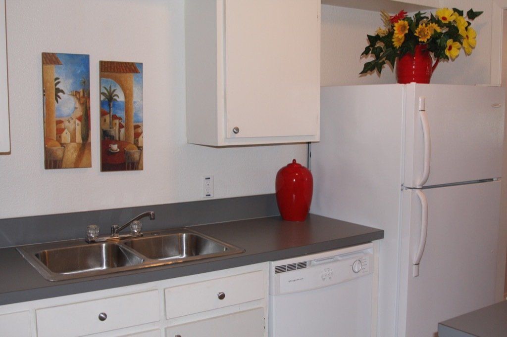 Lions Court | Amarillo, Texas