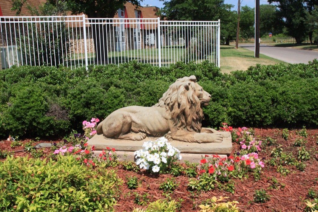 Lions Court | Amarillo, Texas