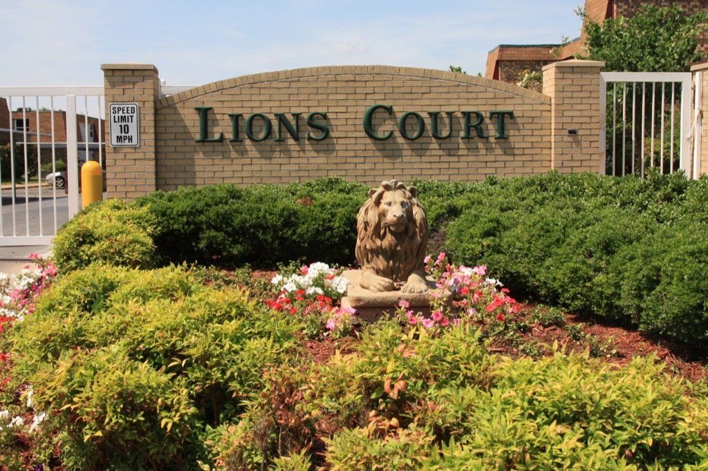 Lions Court | Amarillo, Texas
