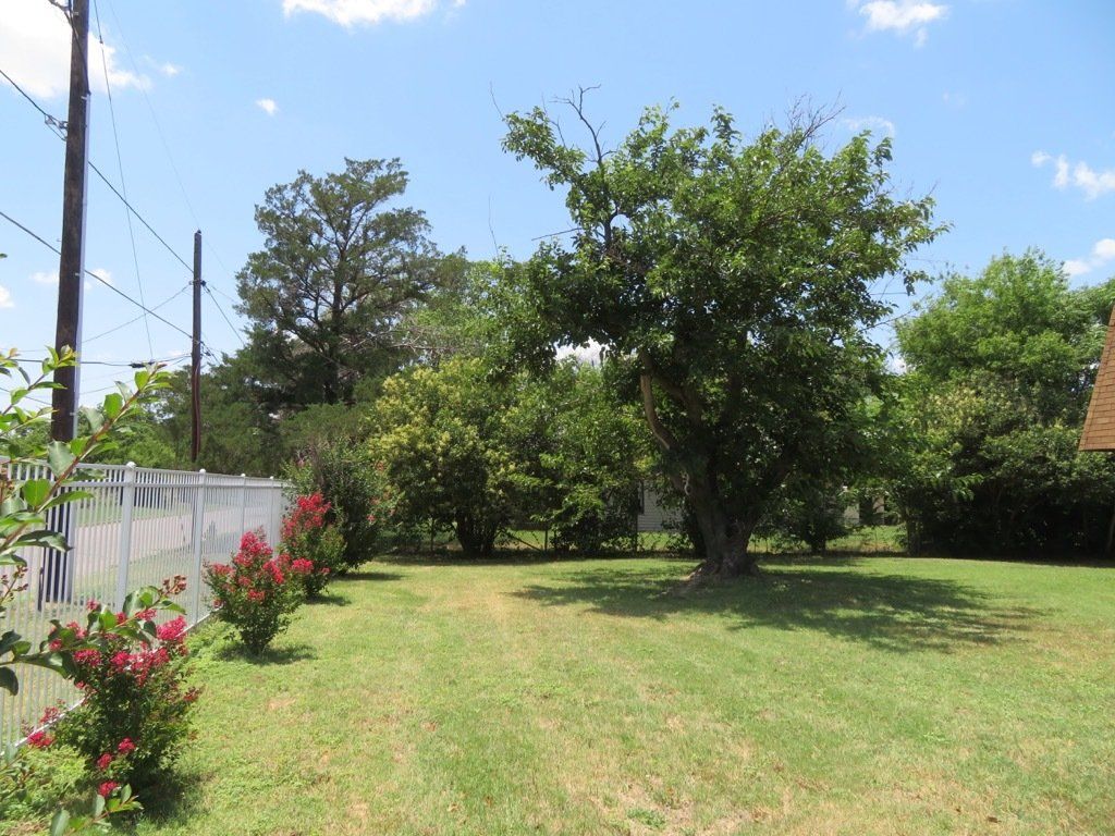 Lions Court | Amarillo, Texas