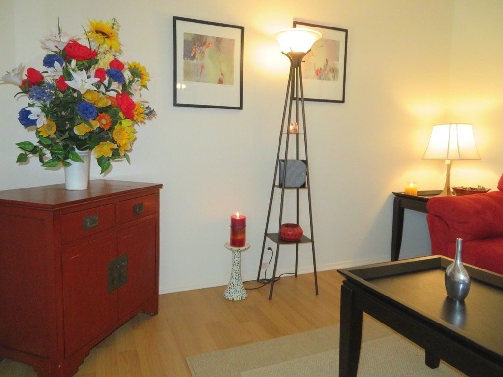 Lions Court | Amarillo, Texas