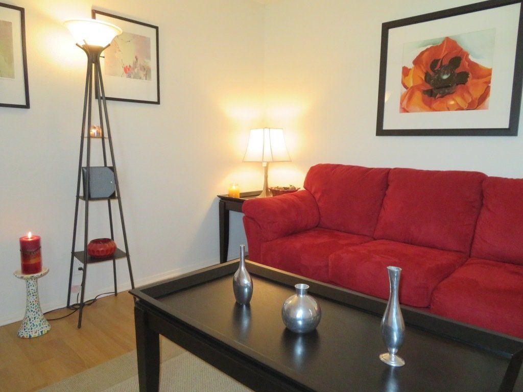 Lions Court | Amarillo, Texas