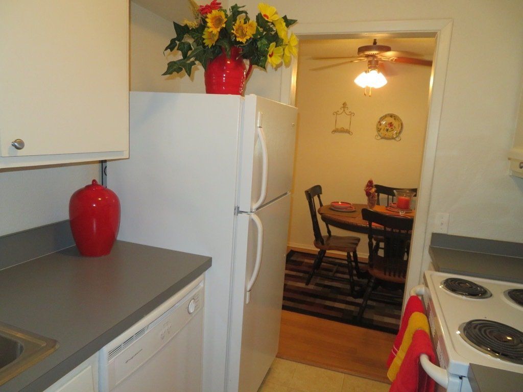 Lions Court | Amarillo, Texas