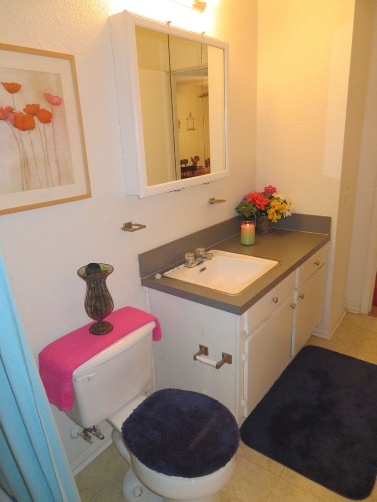 Lions Court | Amarillo, Texas