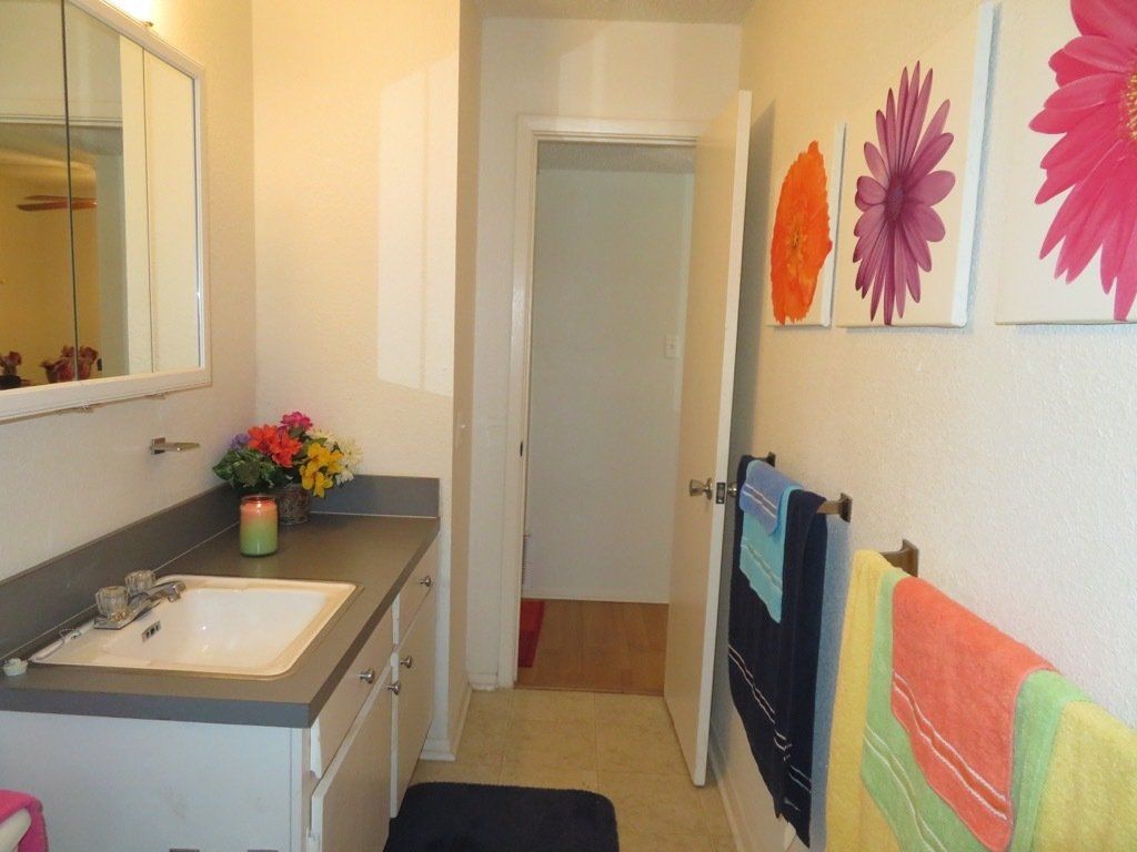 Lions Court | Amarillo, Texas