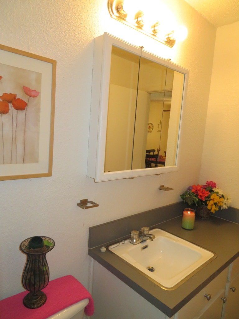 Lions Court | Amarillo, Texas