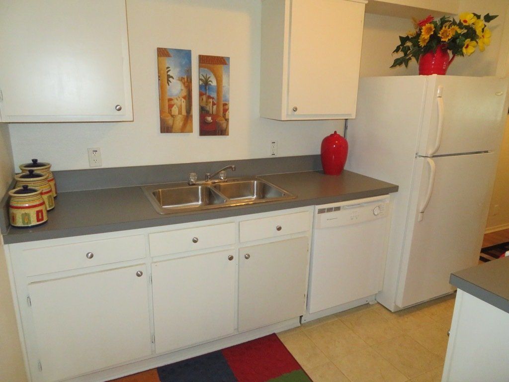 Lions Court | Amarillo, Texas